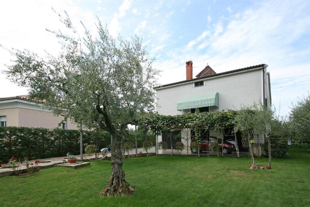 Apartment Bella Vista
